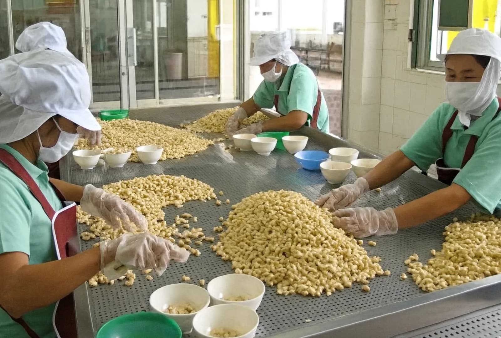 Workers in the Phuket factory hand-sorting cashews at a stainless steel table